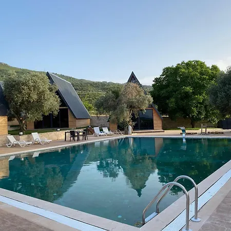 Ciragan Deluxe Botanik Park Bungolov Evleri Guest house *